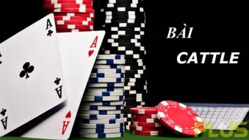 Cách Chơi Bài Catte Hay Nhất - Chơi Là Thắng Cho Anh Em 4 cách chơi bài catte