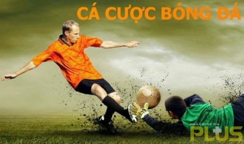 Diễn đàn cá độ bóng đá có ý nghĩa gì trong năm 2024 3 cá cươc bóng đá