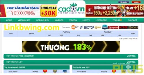 Diễn đàn cá độ bóng đá có ý nghĩa gì trong năm 2024 6 cadovn