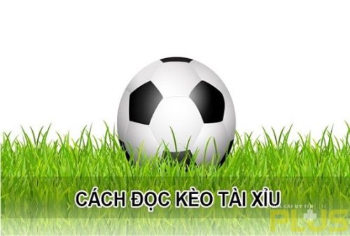 Hướng Dẫn Cách Đọc Kèo Bóng Đá Chuẩn Xác 8 kèo tài xỉu
