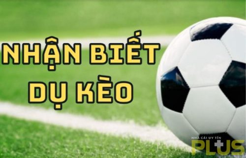 Kèo dụ là gì? Hướng dẫn cách nhận biết kèo dụ chính xác 3 nhận biết kèo dụ