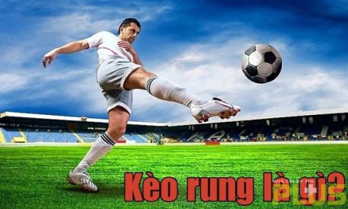 Kèo rung là gì và 6 kinh nghiệm bắt kèo đảm bảo thắng 2 kèo rung là gì