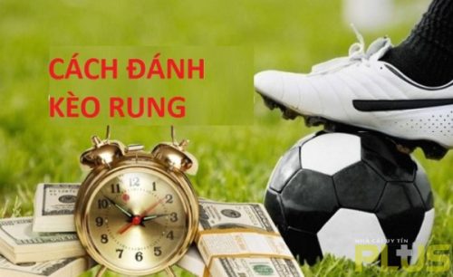Kèo rung là gì và 6 kinh nghiệm bắt kèo đảm bảo thắng 3 cách đánh kèo rung