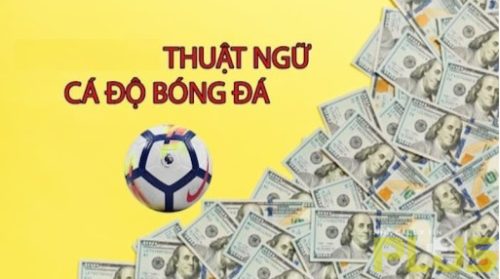 Thuật ngữ cá độ bóng đá cần biết nếu muốn thắng cược 1 thuật ngữ cá độ bóng đá