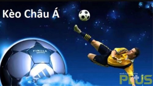 Thuật ngữ cá độ bóng đá cần biết nếu muốn thắng cược 2 kèo châu á