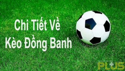 Tổng hợp các cách đọc kèo bóng đá đang có mặt tại nhà cái 2 kèo đồng banh