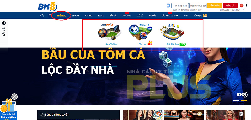 BK8 7 ca cuoc the thao bk8 1