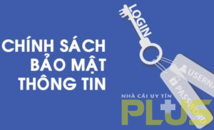 Top 10 nhà cái casino online uy tín tháng 3/2025 12 casino a2 300x183 1
