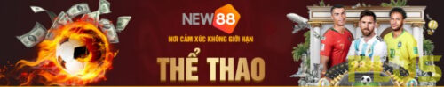 NEW88 2 n2 e1683512970869