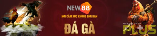 NEW88 5 n5 e1683513194502
