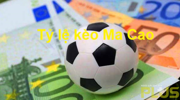 Cược Bóng Đá 16 ty le keo ma cao