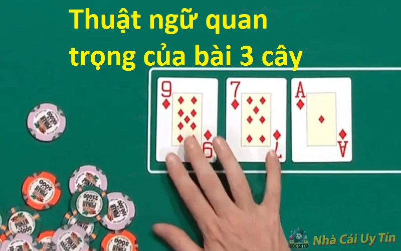 Cách nặn bài 3 cây thắng lớn - TOP 3 bí quyết nặn bài hay 2 Thuật ngữ quan trọng của bài 3 cây