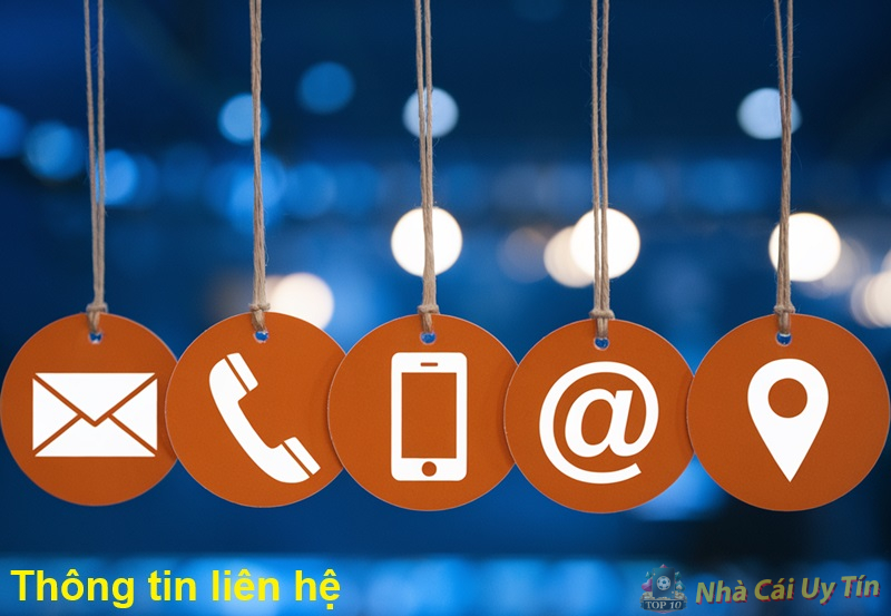 Thông tin liên hệ 1 Thông tin liên hệ