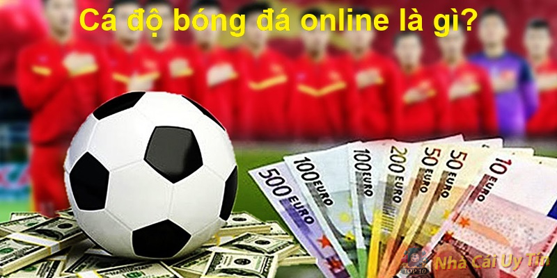 Hướng dẫn chơi cá độ bóng đá mới nhất 10/2024 1 Cá độ bóng đá online là gì?