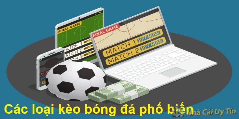 Hướng dẫn chơi cá độ bóng đá mới nhất 10/2024 2 Các loại kèo bóng đá phổ biến