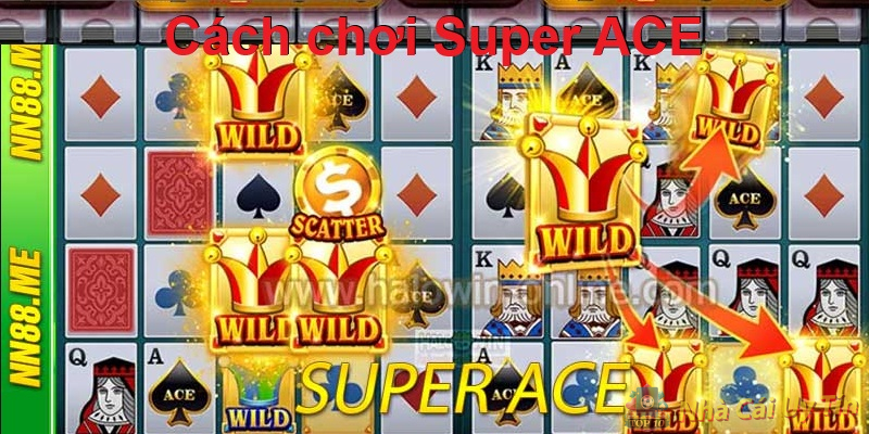 Hướng dẫn cách chơi game Super ACE 3 Cách chơi Super ACE tại nhà cái dễ dàng