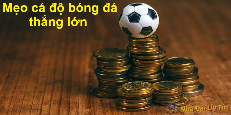 Hướng dẫn chơi cá độ bóng đá mới nhất 10/2024 3 Mẹo cá độ bóng đá thắng lớn