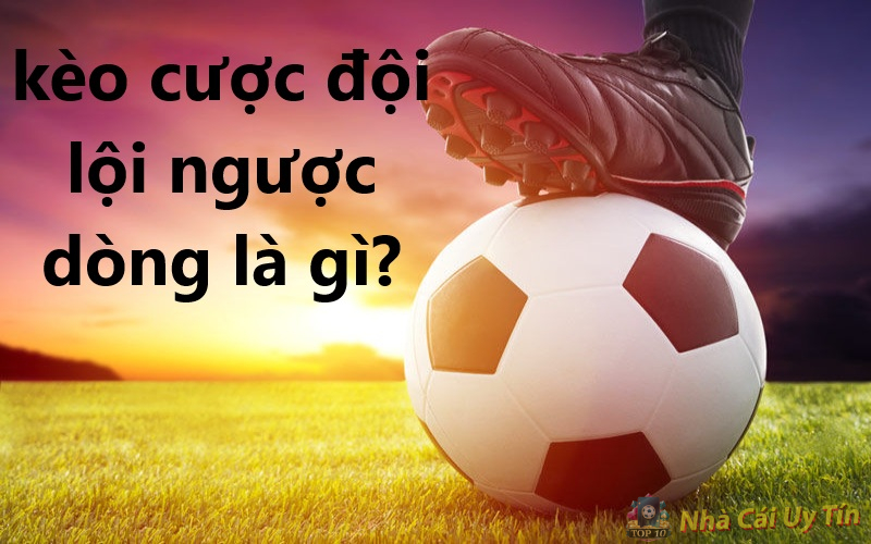 Kèo cược đội lội ngược dòng là gì? Cách chơi kèo độc lạ 1 Giới thiệu kèo cược đội lội ngược dòng là gì