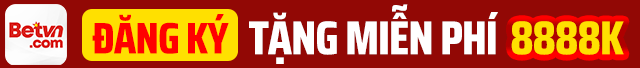 top banner betvn